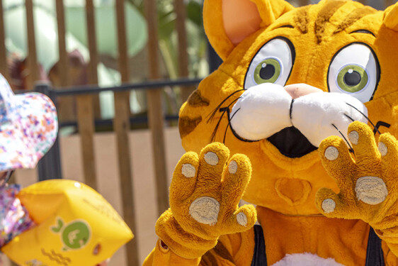 mascotte